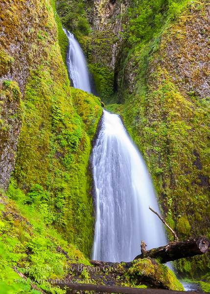 Image of Wahkeena Falls