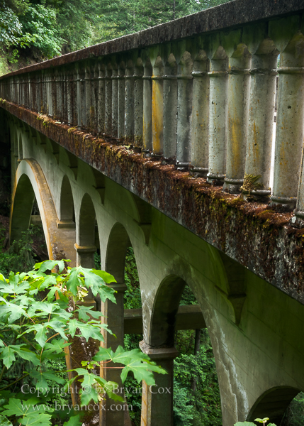 Image of Bridge over Shepherd's Dell
