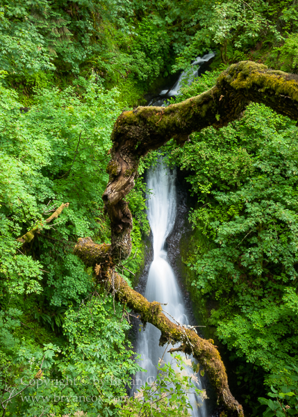 Image of U.S. State Natural Areas