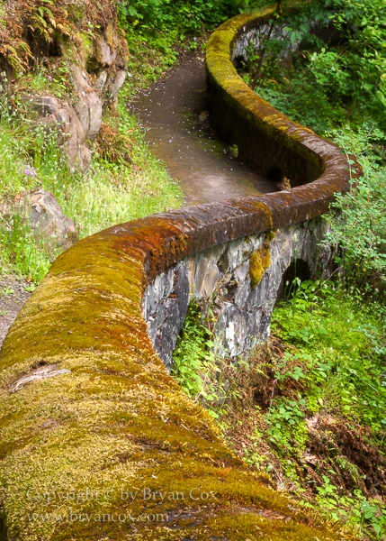 Image of WPA wall at Shepherd's Dell