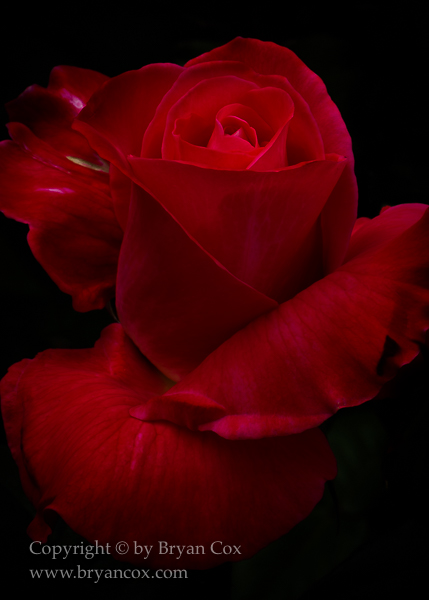 Image of 