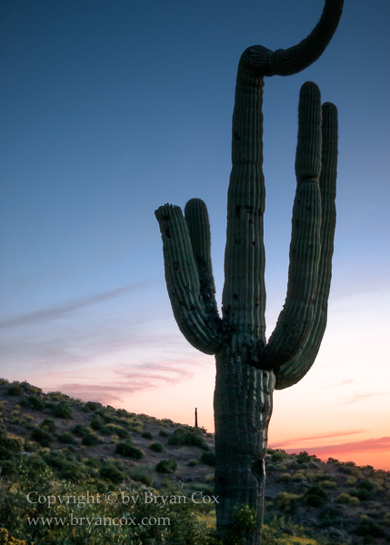 Image of Lost Dutchman State Park, Arizona
