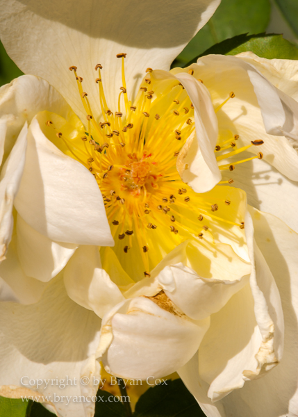 Image of 