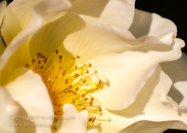 Image of 