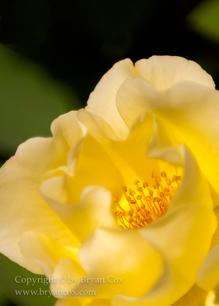 Image of 