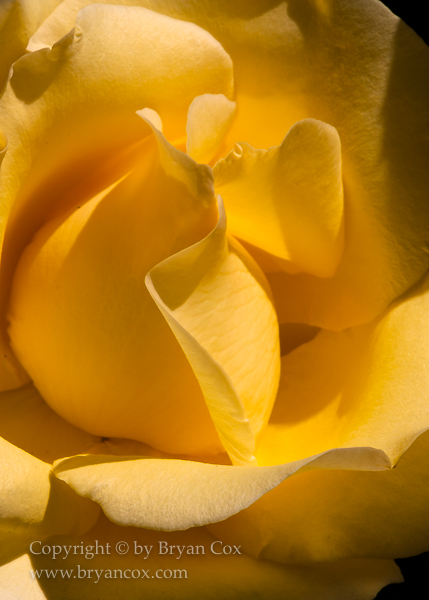 Image of 