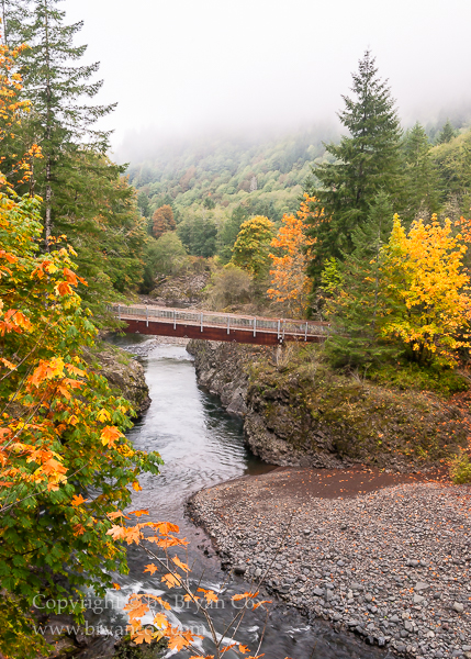 Image of Footbridge over the Wilson River
