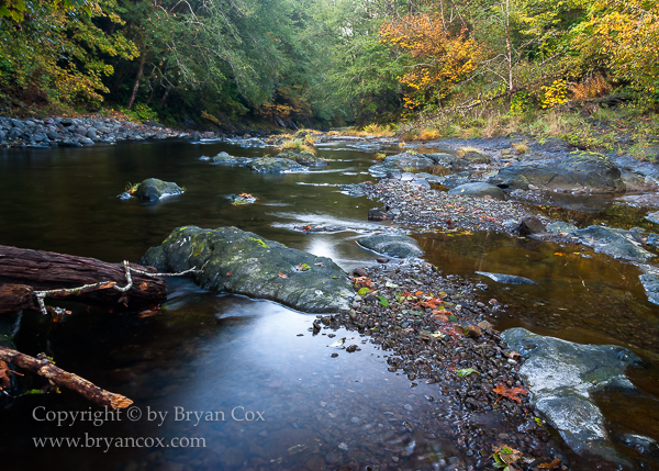 Image of Wilson River