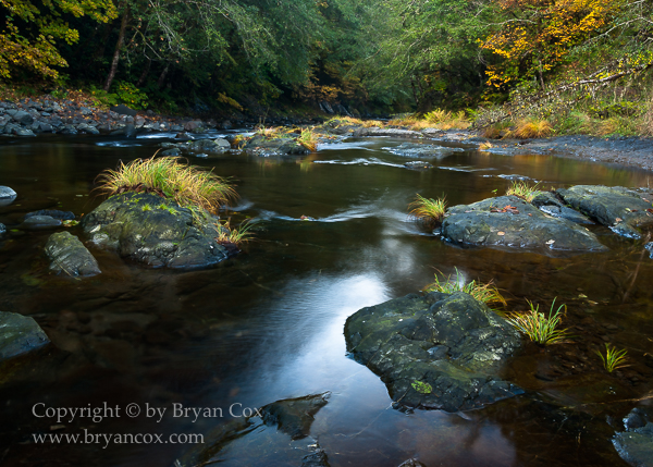 Image of Wilson River