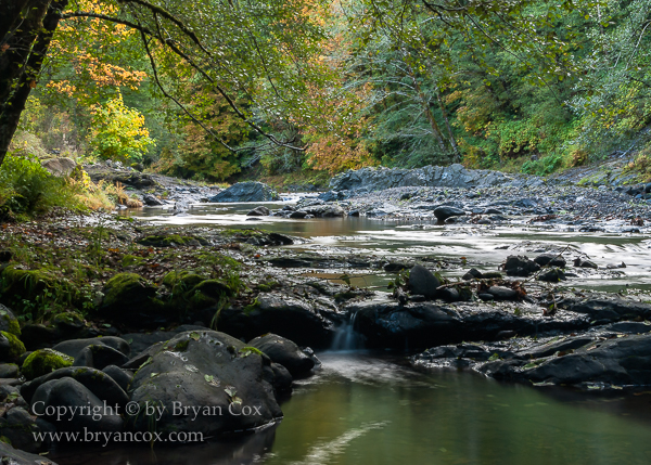 Image of Wilson River