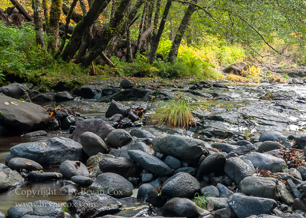 Image of Wilson River