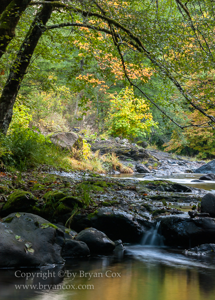 Image of Wilson River