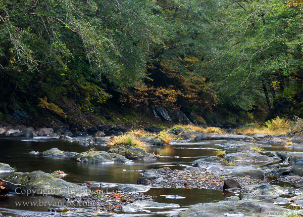Image of Wilson River