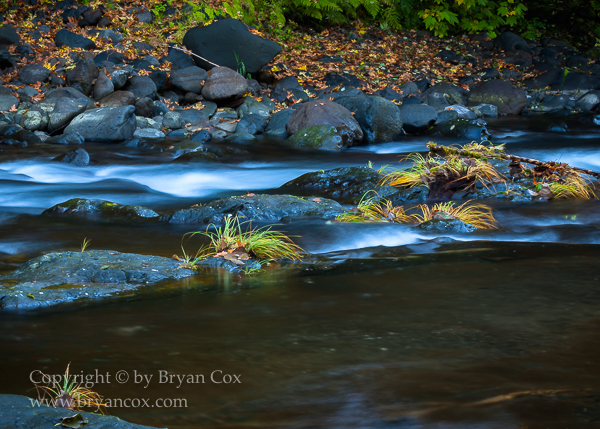 Image of Wilson River
