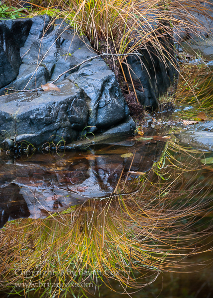 Image of Wilson River