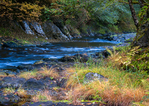 Image of Wilson River