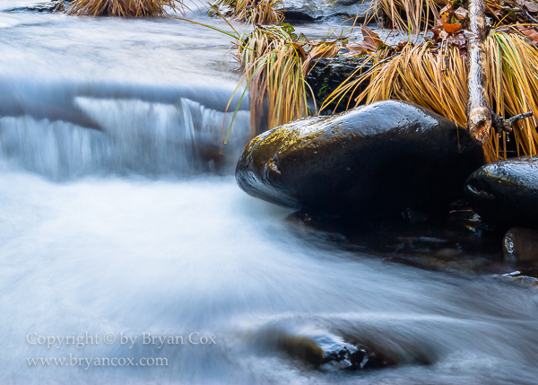 Image of Wilson River
