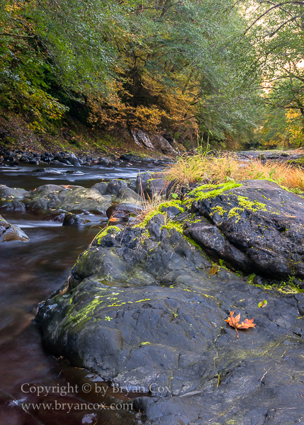 Image of Wilson River