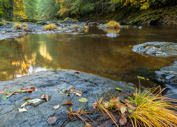 Image of Wilson River
