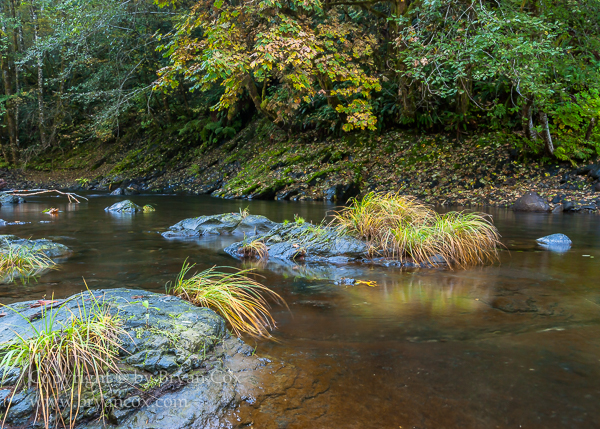 Image of Wilson River