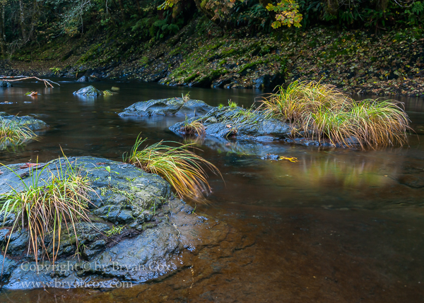 Image of Wilson River