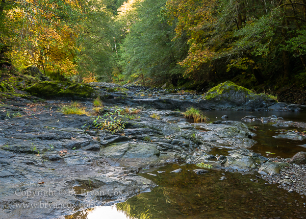 Image of Wilson River