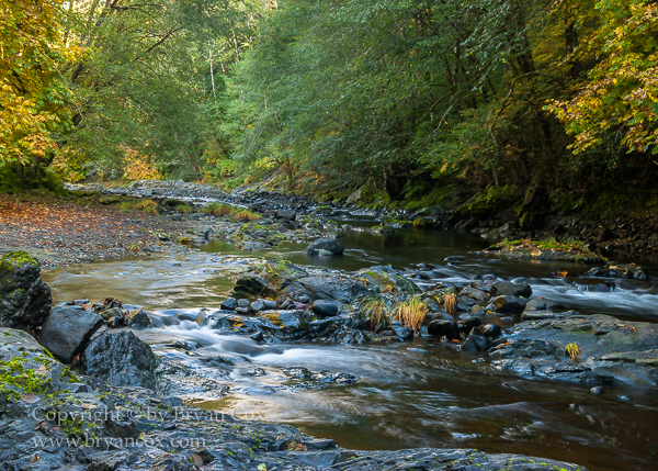 Image of Wilson River
