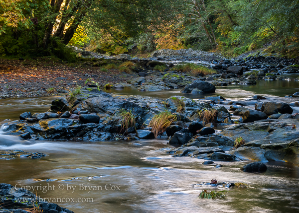 Image of Wilson River