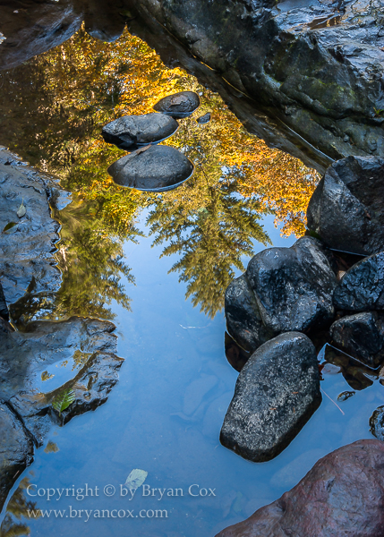 Image of Wilson River