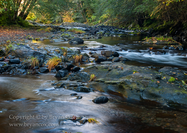 Image of Wilson River
