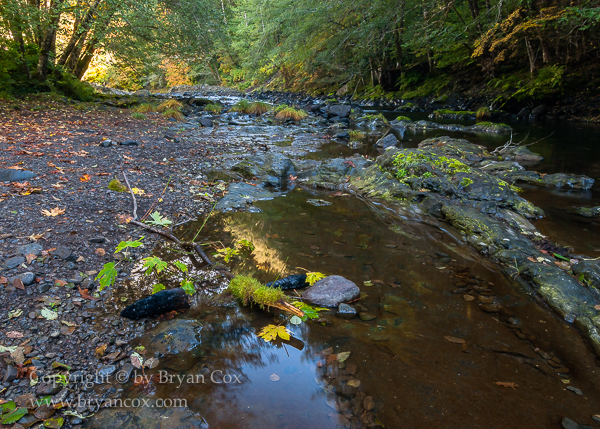 Image of Wilson River