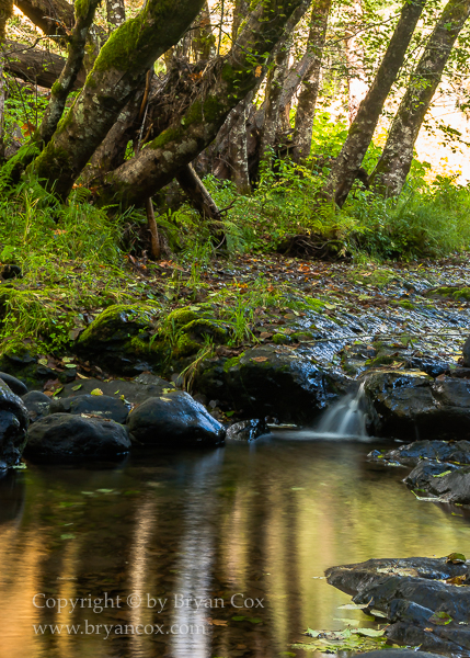 Image of Wilson River