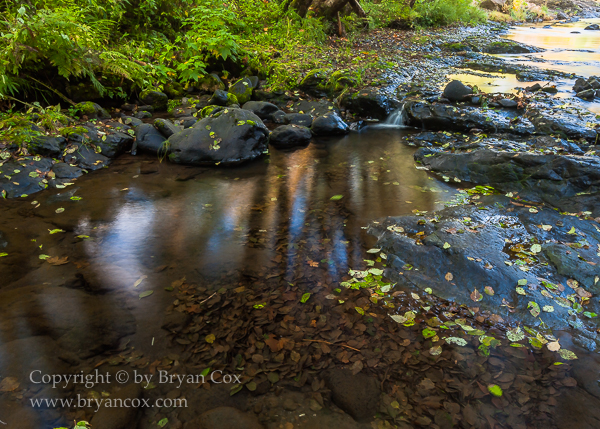 Image of Wilson River
