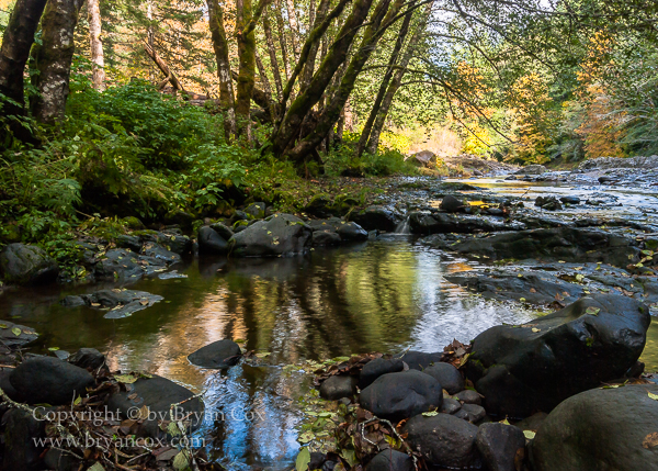 Image of Wilson River