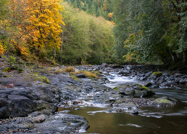 Image of Wilson River