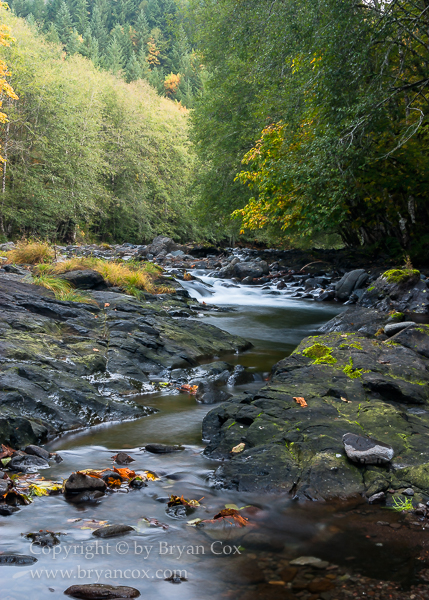 Image of Wilson River