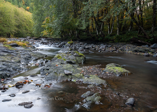 Image of Wilson River