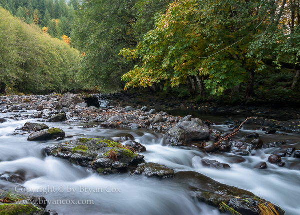 Image of Wilson River