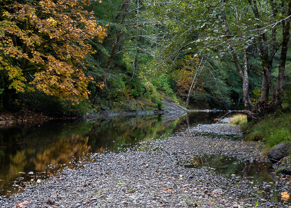 Image of Wilson River