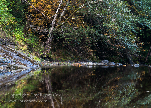 Image of Wilson River