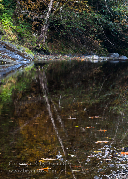 Image of Wilson River