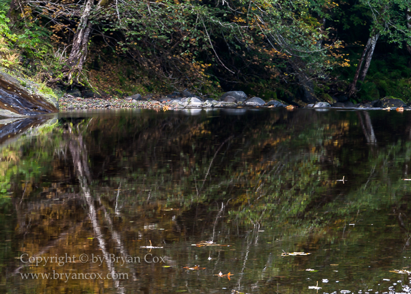 Image of Wilson River