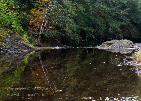 Image of Wilson River