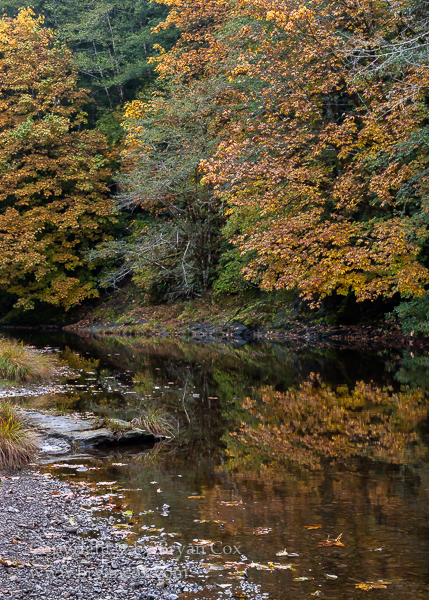 Image of Wilson River