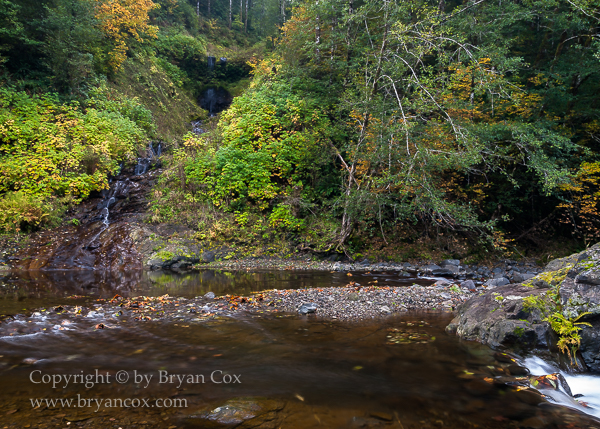 Image of Wilson River
