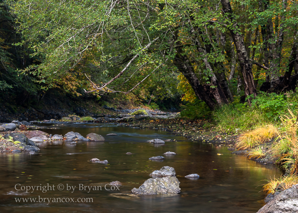 Image of Wilson River