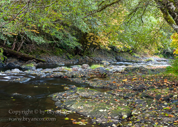Image of Wilson River