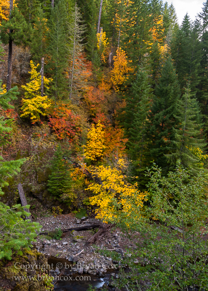 Image of 