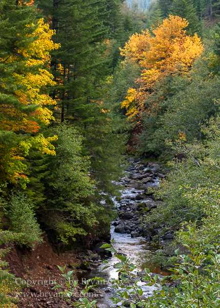 Image of 
