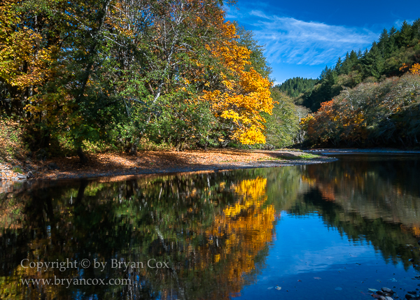 Image of Wilson River